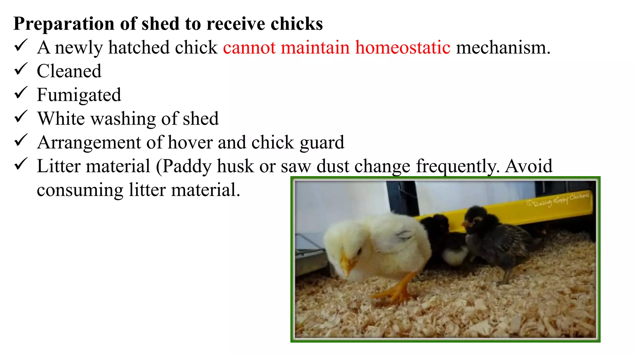 Unit 13 Incubation, hatching and brooding.pptx