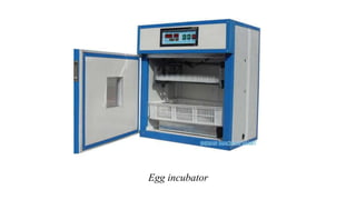 Egg incubator
 