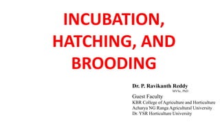 INCUBATION,
HATCHING, AND
BROODING
Dr. P. Ravikanth Reddy
MVSc, PhD
Guest Faculty
KBR College of Agriculture and Horticulture
Acharya NG Ranga Agricultural University
Dr. YSR Horticulture University
 