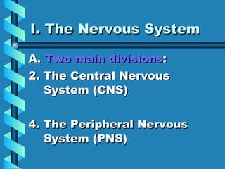 Unit 13 nervous system | PPT