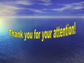 Thank you for your attention! 