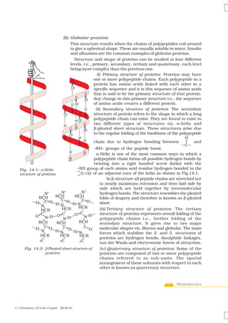 (b) Globular proteins
                                    This structure results when the chains of polypeptides coil around
                                    to give a spherical shape. These are usually soluble in water. Insulin
                                    and albumins are the common examples of globular proteins.
                                      Structure and shape of proteins can be studied at four different
                                    levels, i.e., primary, secondary, tertiary and quaternary, each level
                                    being more complex than the previous one.
                                                     (i) Primary structure of proteins: Proteins may have
                                                   one or more polypeptide chains. Each polypeptide in a
                                                   protein has amino acids linked with each other in a
                                                   specific sequence and it is this sequence of amino acids
                                                   that is said to be the primary structure of that protein.
                                                   Any change in this primary structure i.e., the sequence
                                                   of amino acids creates a different protein.
                                                    (ii) Secondary structure of proteins: The secondary
                                                   structure of protein refers to the shape in which a long
                                                   polypeptide chain can exist. They are found to exist in
                                                   two different types of structures viz. α-helix and
                                                   β-pleated sheet structure. These structures arise due
                                                   to the regular folding of the backbone of the polypeptide

                                                chain due to hydrogen bonding between                  and
                                             –NH– groups of the peptide bond.
                                              α-Helix is one of the most common ways in which a
                                             polypeptide chain forms all possible hydrogen bonds by
                                             twisting into a right handed screw (helix) with the
  Fig. 14.1: α-Helix               –NH group of each amino acid residue hydrogen bonded to the
  structure of proteins              C O of an adjacent turn of the helix as shown in Fig.14.1.
                                                      In β-structure all peptide chains are stretched out
                                                to nearly maximum extension and then laid side by
                                                side which are held together by intermolecular
                                                hydrogen bonds. The structure resembles the pleated
                                                folds of drapery and therefore is known as β-pleated
                                                sheet.
                                                (iii) Tertiary structure of proteins: The tertiary
                                                structure of proteins represents overall folding of the
                                                polypeptide chains i.e., further folding of the
                                                secondary structure. It gives rise to two major
                                                molecular shapes viz. fibrous and globular. The main
                                                forces which stabilise the 2° and 3° structures of
                                                proteins are hydrogen bonds, disulphide linkages,
                                                van der Waals and electrostatic forces of attraction.
     Fig. 14.2: β-Pleated sheet structure of    (iv) Quaternary structure of proteins: Some of the
                 proteins                       proteins are composed of two or more polypeptide
                                                chains referred to as sub-units. The spatial
                                                arrangement of these subunits with respect to each
                                                other is known as quaternary structure.



                                                                                        415   Biomolecules




C:Chemistry-12Unit-14.pmd   28.02.07
 