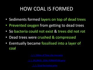 HOW COAL IS FORMED
• Sediments formed layers on top of dead trees
• Prevented oxygen from getting to dead trees
• So bacteria could not exist & trees did not rot
• Dead trees were crushed & compressed
• Eventually became fossilised into a layer of
coal
......Coal formation.wmv
......PL2BIO1_COAL FORMATION.wmv
......Slices of Time clip.mov.wmv
 