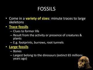 FOSSILS
• Come in a variety of sizes: minute traces to large
skeletons
• Trace fossils
– Clues to former life
– Result from the activity or presence of creatures &
plants
– E.g. footprints, burrows, root tunnels
• Large fossils
– Bones
– Largest belong to the dinosaurs (extinct 65 millions
years ago)
 