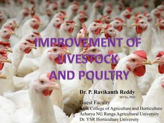 Dr. P. Ravikanth Reddy
MVSc, PhD
Guest Faculty
KBR College of Agriculture and Horticulture
Acharya NG Ranga Agricultural University
Dr. YSR Horticulture University
 