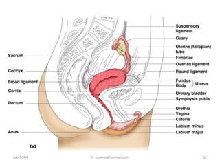 Unit 14 Reproductive System