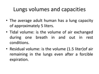 Lungs volumes and capacities
• The average adult human has a lung capacity
of approximately 5 liters.
• Tidal volume: is the volume of air exchanged
during one breath in and out in rest
conditions.
• Residual volume: is the volume (1.5 liter)of air
remaining in the lungs even after a forcible
expiration.
 