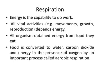 Respiration
• Energy is the capability to do work.
• All vital activities (e.g. movements, growth,
reproduction) depends energy.
• All organism obtained energy from food they
eat.
• Food is converted to water, carbon dioxide
and energy in the presence of oxygen by an
important process called aerobic respiration.
 