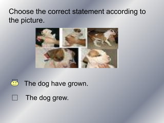 Choose the correct statement according to
the picture.




    The dog have grown.

     The dog grew.
 