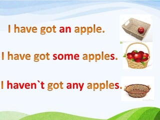 an
some s
haven`t any s