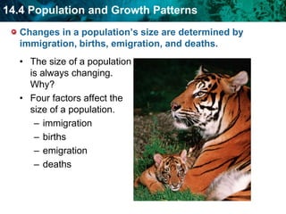 There are three major types of symbiotic relationships.Parasites meet their needs as ectoparasites (such as leeches) and endoparasites (such as hookworms)“Ecto” means Outside, such as leeches, ticks, fleas, and mosquitoes“Endo” means Inside, such as malaria, roundworms, and tapeworms