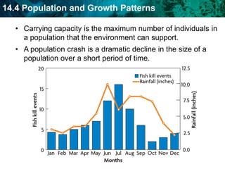 Population growth is based on available resources.Exponential growth is a rapid population increase due to an abundance of resources.   What would you expect to happen after exponential growth?