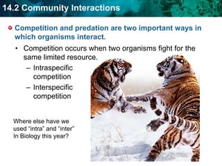 Competitive exclusion has different outcomes.  What is one possible outcome?One species is better suited to the niche and the other will either be pushed out or become extinct.