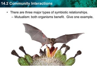 The niche will be divided.