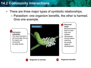 Competition and predation are two important ways inwhich organisms interact. Competition occurs when two organisms fight for thesame limited resource.IntraspecificcompetitionInterspecificcompetitionWhere else have we used “intra” and “inter”In Biology this year?