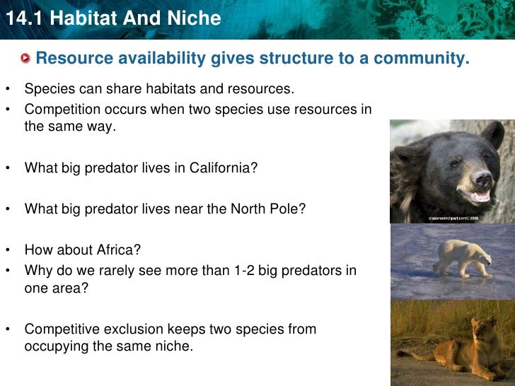Unit 15a Habitat niche interactions and growth patterns