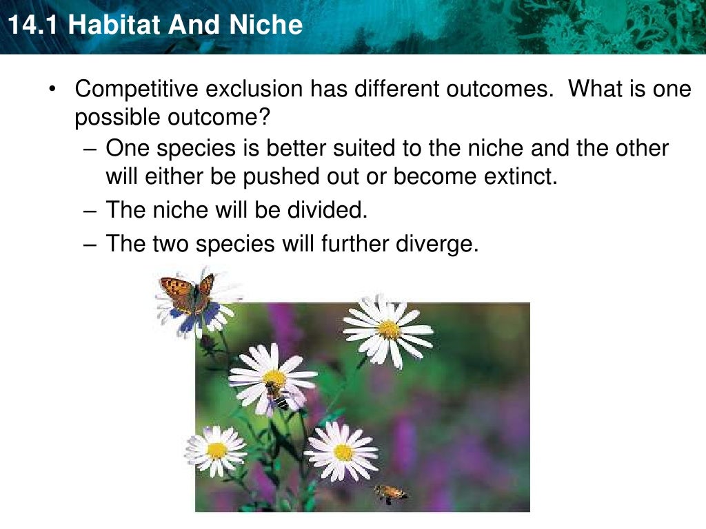 Unit 15a Habitat niche interactions and growth patterns