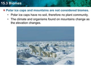 long winters and short summers