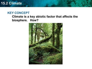 Geosphere—geologic features above and below Earth’s surface