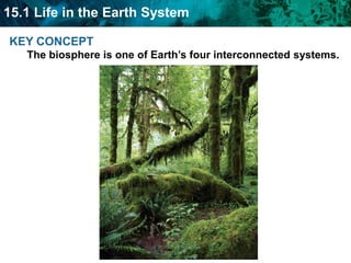 KEY CONCEPT The biosphere is one of Earth’s four interconnected systems.    