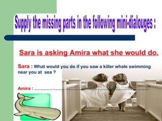 Supply the missing parts in the following mini-dialouges : Sara   is asking Amira what she would do. Sara  :   What would you do if you saw a killer whale swimming near you at  sea ? Amira  : …………………………………………………………………. 