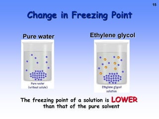 Change in Freezing Point Common Applications of Freezing Point DepressionEthylene glycol – deadly to small animalsPropylene glycol