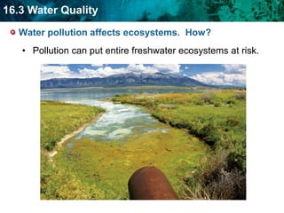 Smog can be harmful to human health.  How?Acid rain is caused by fossil fuel emissions.