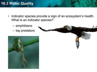 produced when pollutants in the water cycle cause rain pH to drop