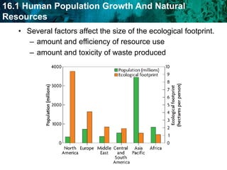 Resources must be properly managed.Effective management of Earth’s resources will help meet the needs of the future. Earth’s resources must be used responsibly.  Why?Careless use of resources makes them unavailable to future generations.Easter Island isan example ofirresponsibleresource use.Removal of trees An ecological footprint is the amount of land needed to support a person.What must the land be able to produce and maintain?