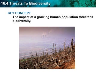 KEY CONCEPT The impact of a growing human population threatens biodiversity.  