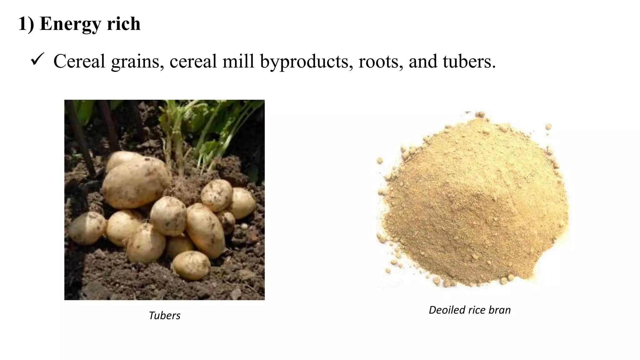 1) Energy rich
 Cereal grains, cereal mill byproducts, roots, and tubers.
Tubers Deoiled rice bran
 