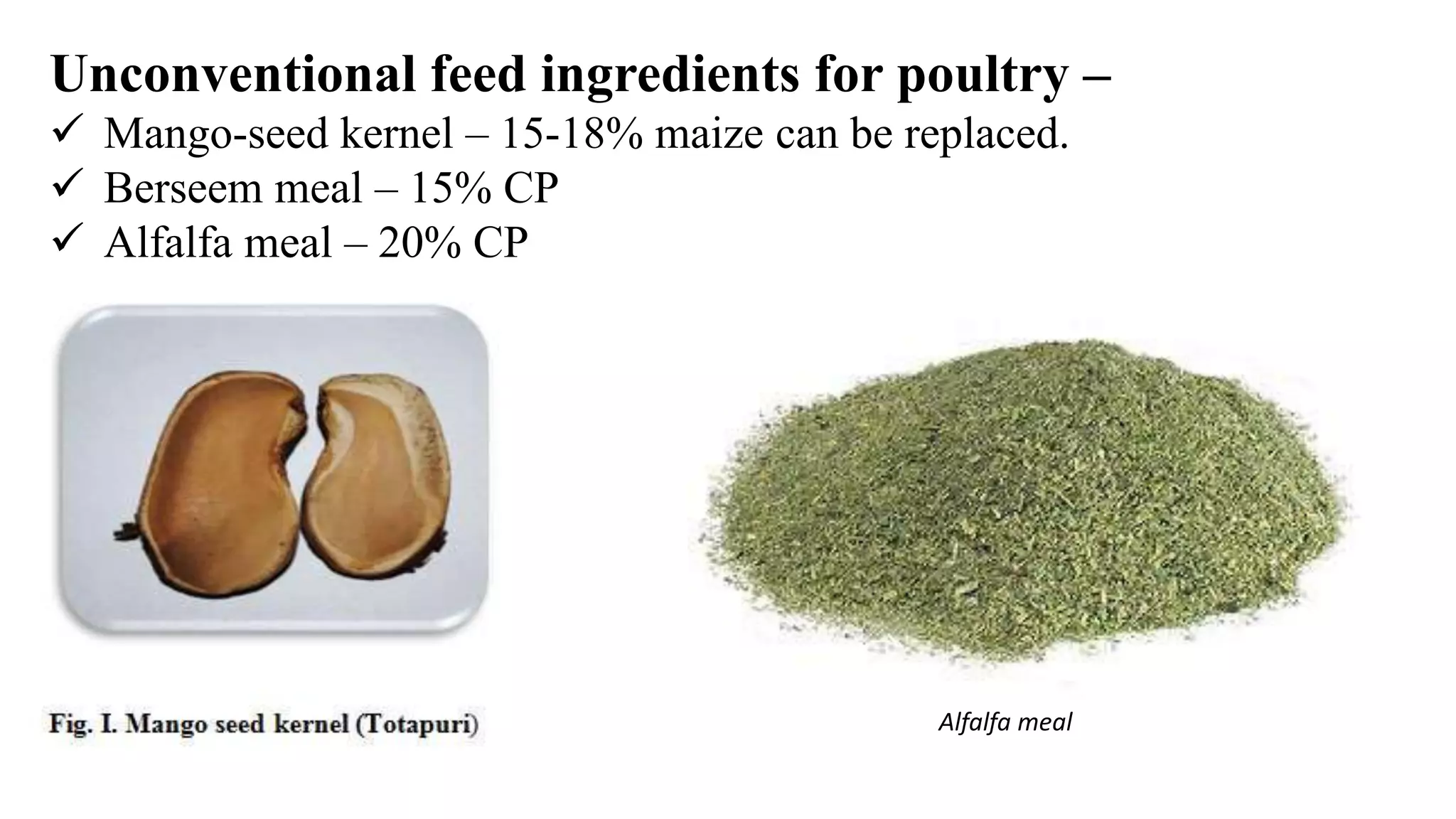 Unconventional feed ingredients for poultry –
 Mango-seed kernel – 15-18% maize can be replaced.
 Berseem meal – 15% CP
 Alfalfa meal – 20% CP
Alfalfa meal
 