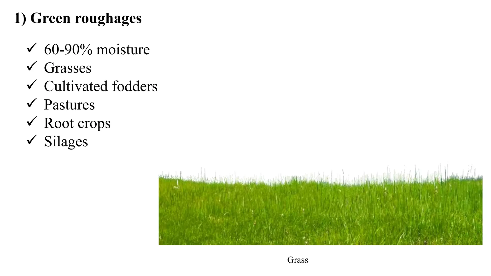 1) Green roughages
 60-90% moisture
 Grasses
 Cultivated fodders
 Pastures
 Root crops
 Silages
Grass
 