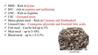  SBM – Rich in lysine
 SFC – rich in arginine and methionine
 GNC – Rich in Arginine
 CSC – Gossypol toxin
 Maize gluten meal – Rich in Carotene and Xanthophyll
 Linseed Cake – Cyanogenic glycoside and Essential fatty acids.
 Fish meal – Can be fed up to 5%
 Meat meal – up to 5-10%
 Blood meal – up to 1.5-2.5%
Linseed cake
 