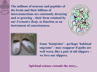 The millions of neurons and peptides of
the brain and their billions of
interconnections are constantly decaying
and re-growing – their form retained by
our Formative Body, to function as an
instrument of consciousness.




                    Some „footprints‟ – perhaps „habitual
                    engrams‟ – may reappear if paths are
                    well worn, like a pair of old slippers –
                    we love our slippers.


            Spiritual science extends the story...
 