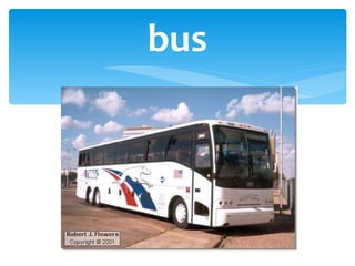 bus