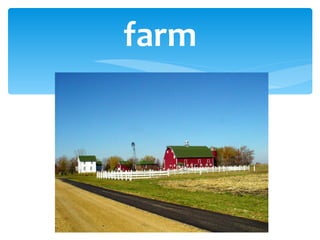 farm