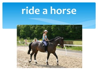 ride a horse