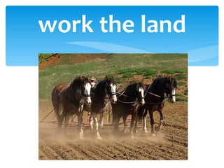 work the land