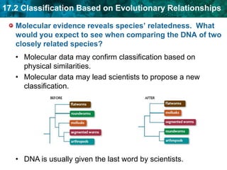 Unit 17a Scientific classification | PPTX