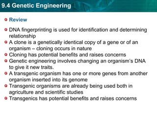 (bacterial DNA)New genes can be added to an organism’s DNA. Genetic engineering involves changing an organism’s DNA to give it new traits.  What genes would you like to incorporate into your favorite pet?Genetic engineering is based on the use of recombinant DNA. Recombinant DNA contains genes from more than one organism.