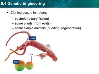 immigration requests