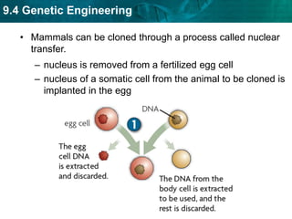 studying biodiversity