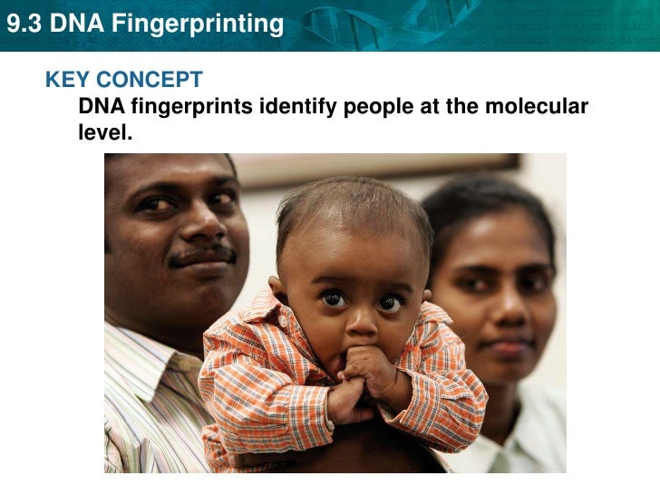 Unit 18a Dna Fingerprinting And Genetic Engineering