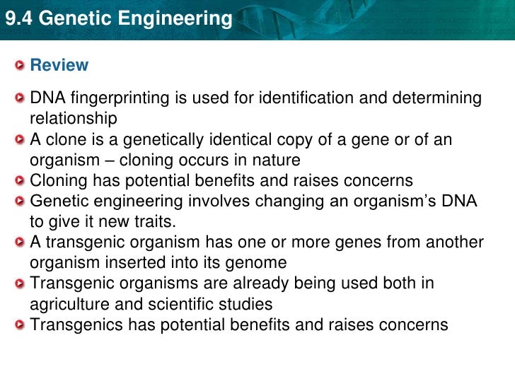 an essay on genetic engineering and dna profiling We will write a cheap essay sample on genetic engineering specifically for you working with dna 1966 the genetic code 1985 genetic fingerprinting. an essay on genetic engineering and dna profiling We will write a cheap essay sample on genetic engineering specifically for you working with dna 1966 the genetic code 1985 genetic fingerprinting.