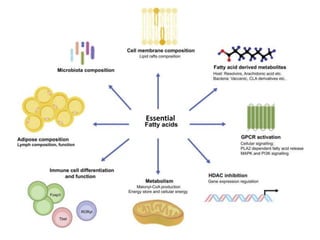 Nutrient Function Overview Unit 18 Nutrients and their functions.pptx