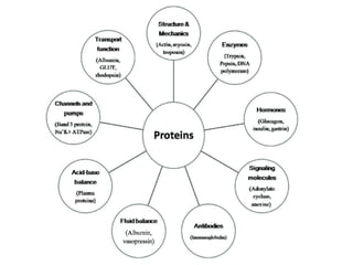 Nutrient Function Overview Unit 18 Nutrients and their functions.pptx