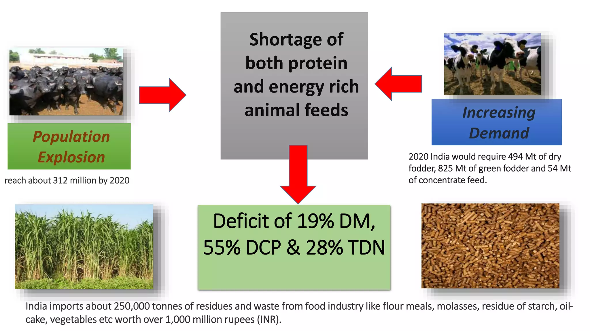 Unit 19 Feed ingredients for ration - Balanced ration.pptx