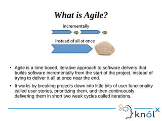 object oriented software engineering PPT | PPTX