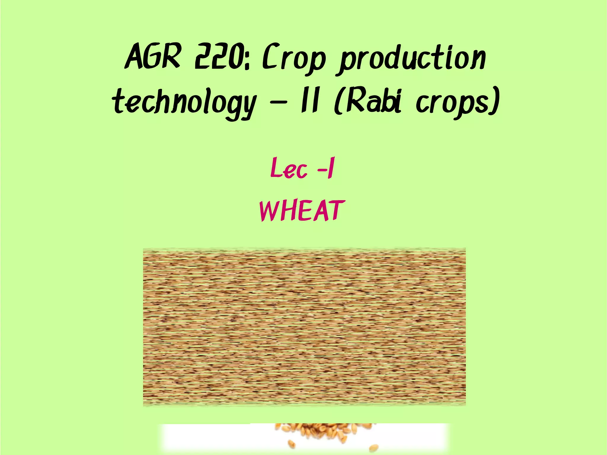 production technology of rabi crops , wheat , barley | PDF